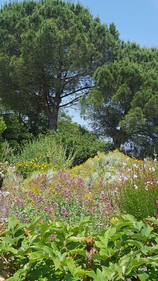 Foulayronnes Au Calme Chez L'Habitant מראה חיצוני תמונה